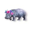 theprettyhippo